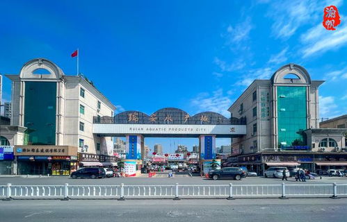 探訪溫州網(wǎng)紅市場 瑞安水產(chǎn)城——水產(chǎn)品琳瑯滿目，價廉物美與網(wǎng)站建設(shè)助力體驗升級